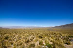 Click to view this image in a large viewer